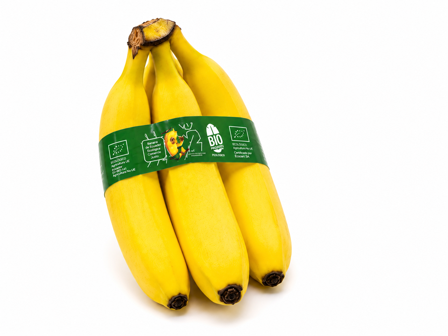 Banane BIO Ecuador - 1 kg