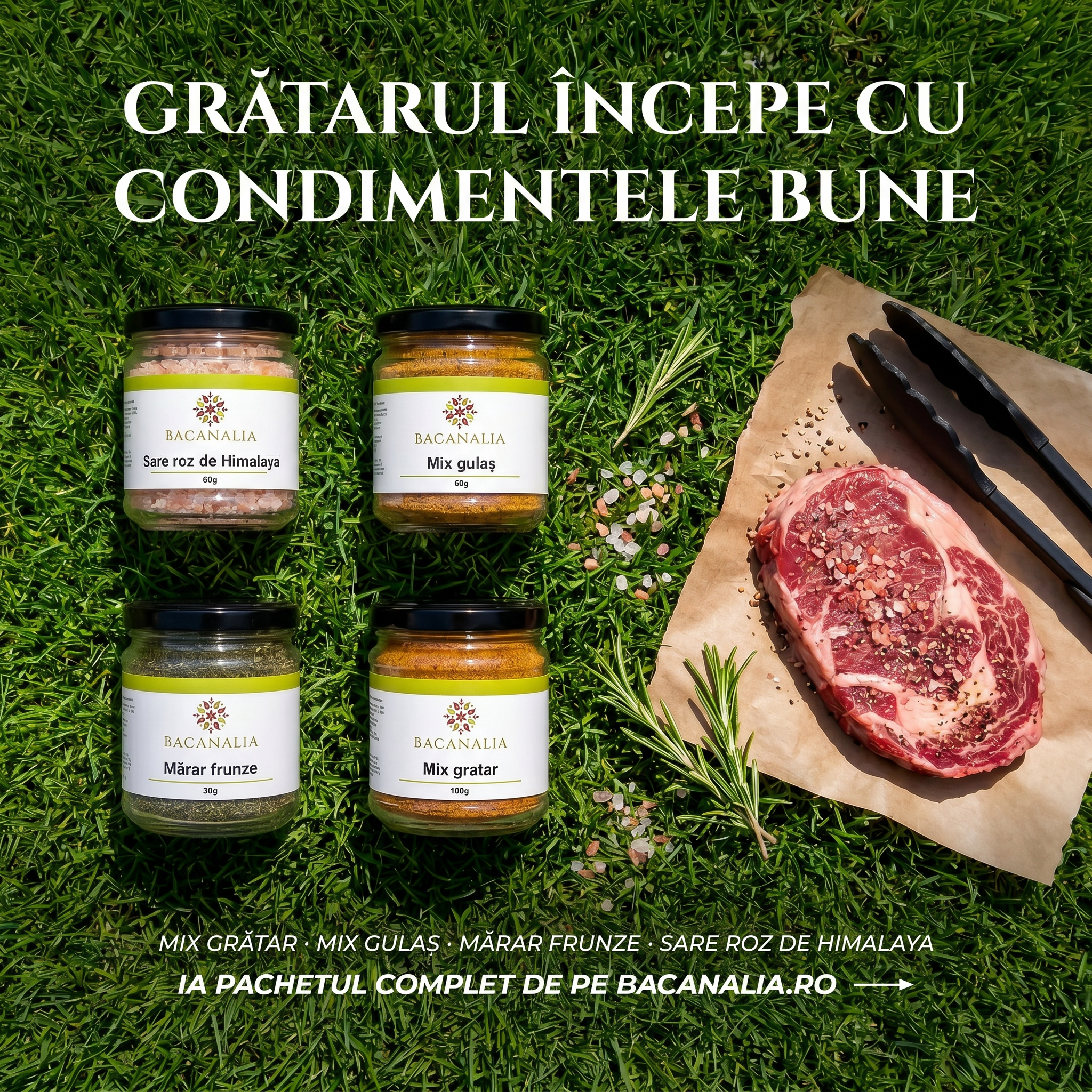 Pachet pentru Începători — 4 Condimente Esențiale
