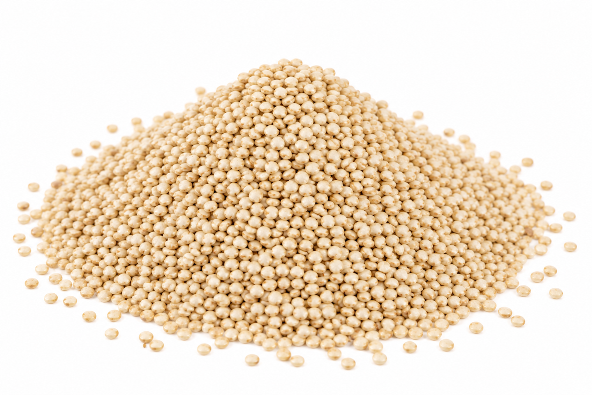 Quinoa albă, boabe crem pe fundal alb